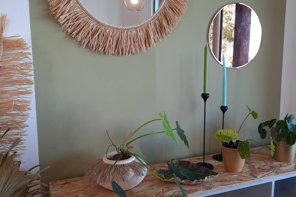 Le Tibouchina , Gite Chaleureux A La Ferme Le Tampon Exterior photo
